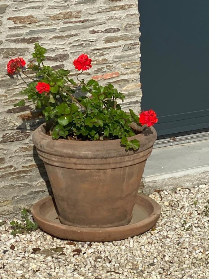 Bed and Breakfast Celine Et Olivier Pornic Exteriér fotografie